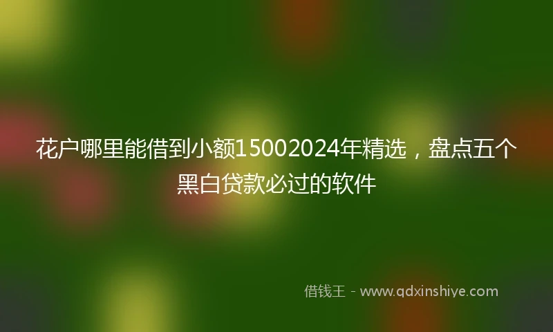 花户哪里能借到小额15002024年精选，盘点五个黑白贷款必过的软件