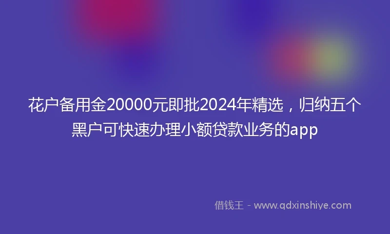 花户备用金20000元即批2024年精选，归纳五个黑户可快速办理小额贷款业务的app