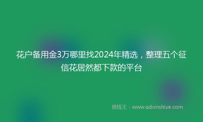 花户备用金3万哪里找2024年精选，整理五个征信花居然都下款的平台