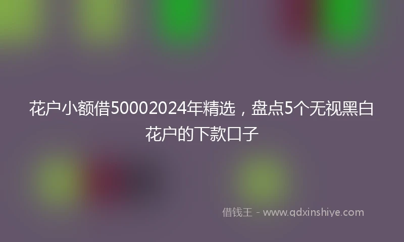 花户小额借50002024年精选,盘点5个无视黑白花户的下款口子