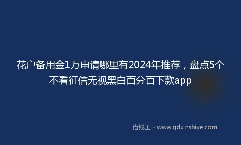 花户备用金1万申请哪里有2024年推荐，盘点5个不看征信无视黑白百分百下款app