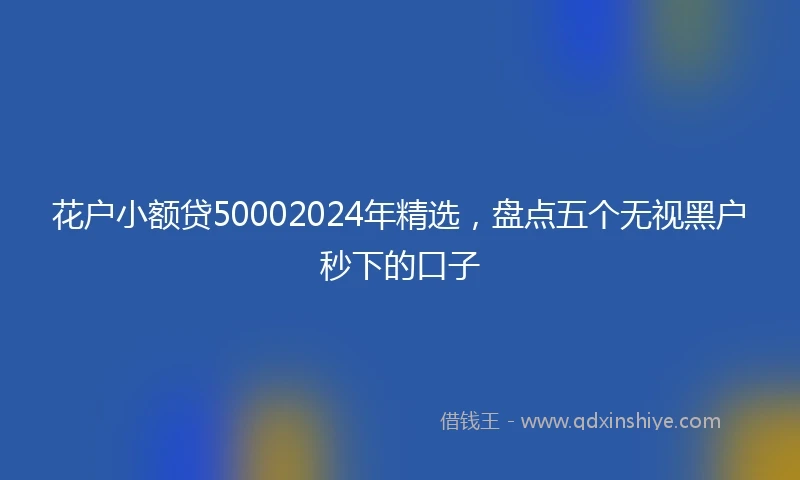 花户小额贷50002024年精选，盘点五个无视黑户秒下的口子