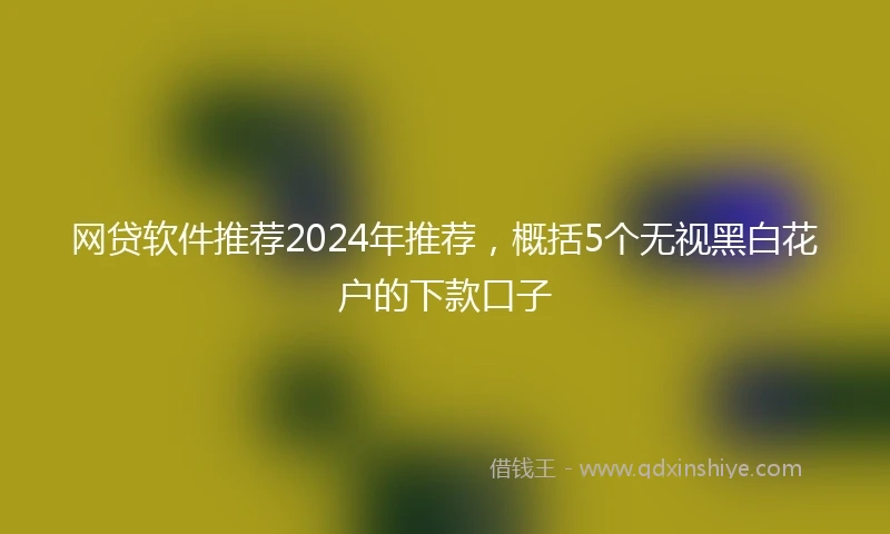 网贷软件推荐2024年推荐，概括5个无视黑白花户的下款口子