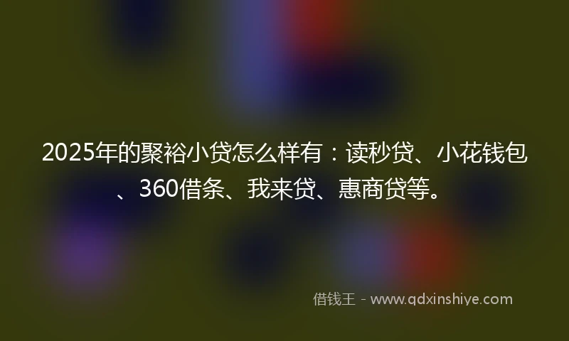 2025年的聚裕小贷怎么样有：读秒贷、小花钱包、360借条、我来贷、惠商贷等。