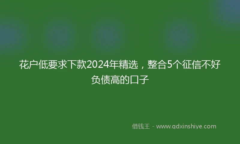 花户低要求下款2024年精选，整合5个征信不好负债高的口子
