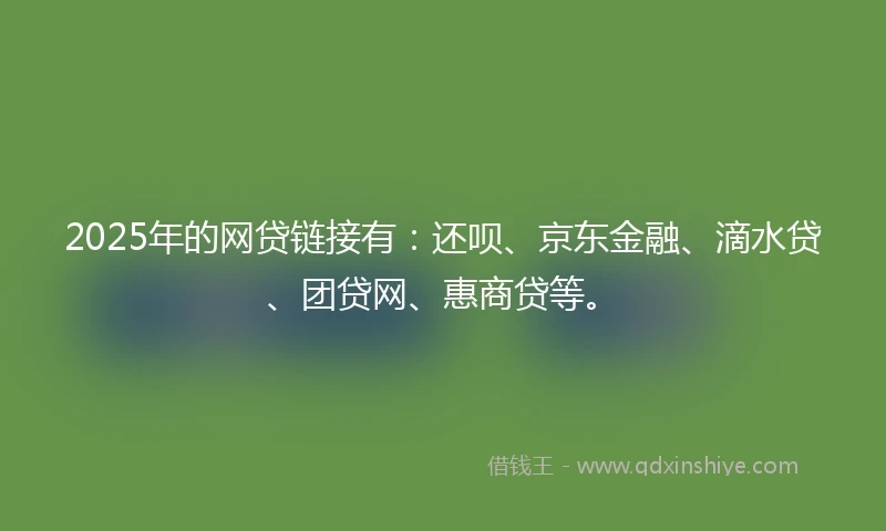 2025年的网贷链接有：还呗、京东金融、滴水贷、团贷网、惠商贷等。