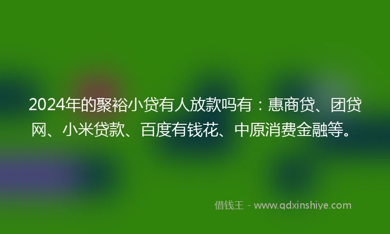 2024年的聚裕小贷有人放款吗有：惠商贷、团贷网、小米贷款、百度有钱花、中原消费金融等。