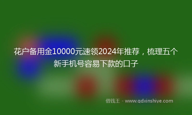 花户备用金10000元速领2024年推荐，梳理五个新手机号容易下款的口子