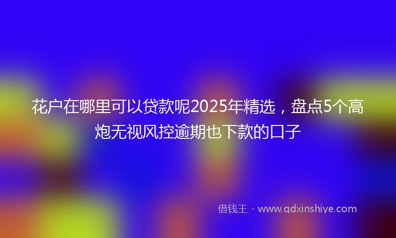 花户在哪里可以贷款呢2025年精选，盘点5个高炮无视风控逾期也下款的口子
