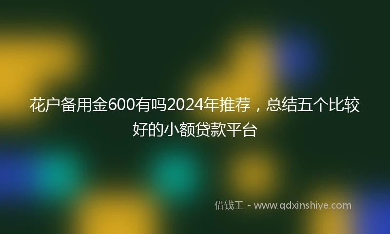 花户备用金600有吗2024年推荐，总结五个比较好的小额贷款平台