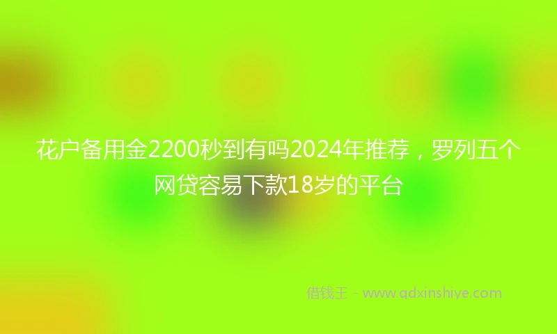 花户备用金2200秒到有吗2024年推荐，罗列五个网贷容易下款18岁的平台