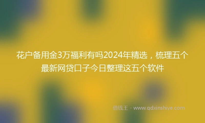 花户备用金3万福利有吗2024年精选，梳理五个最新网贷口子今日整理这五个软件