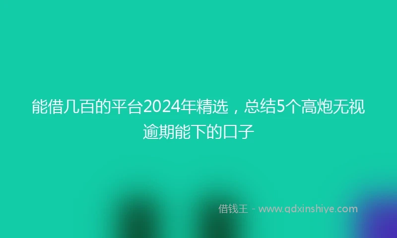 能借几百的平台2024年精选，总结5个高炮无视逾期能下的口子