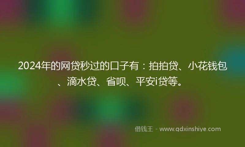 2024年的网贷秒过的口子有：拍拍贷、小花钱包、滴水贷、省呗、平安i贷等。