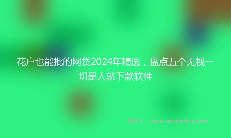 花户也能批的网贷2024年精选,盘点五个无视一切是人就下款软件