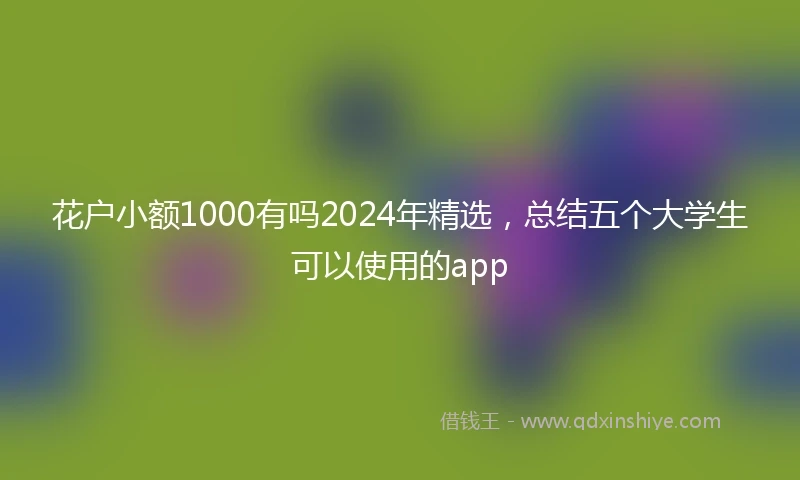 花户小额1000有吗2024年精选，总结五个大学生可以使用的app