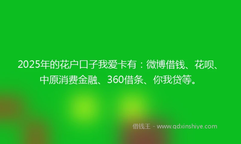 2025年的花户口子我爱卡有：微博借钱、花呗、中原消费金融、360借条、你我贷等。