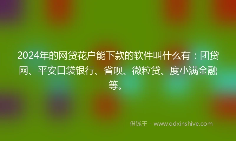 2024年的网贷花户能下款的软件叫什么有：团贷网、平安口袋银行、省呗、微粒贷、度小满金融等。