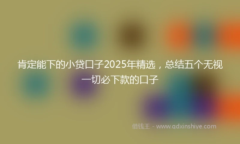 肯定能下的小贷口子2025年精选，总结五个无视一切必下款的口子