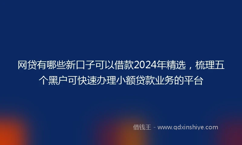 网贷有哪些新口子可以借款2024年精选，梳理五个黑户可快速办理小额贷款业务的平台