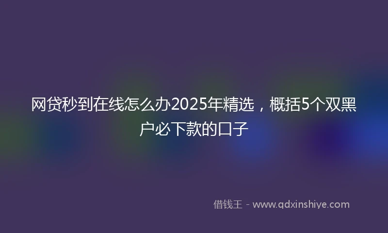 网贷秒到在线怎么办2025年精选，概括5个双黑户必下款的口子