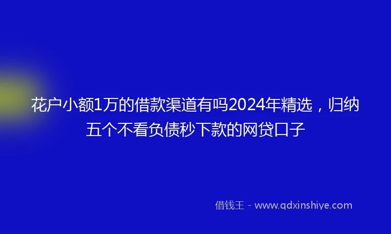 花户小额1万的借款渠道有吗2024年精选，归纳五个不看负债秒下款的网贷口子