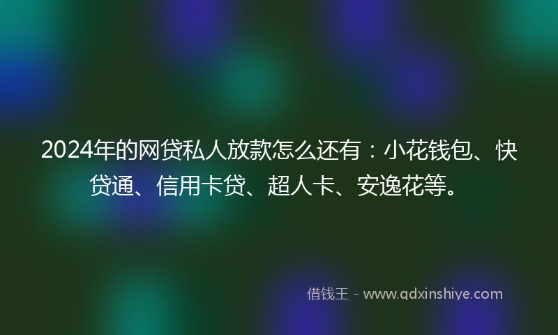 2024年的网贷私人放款怎么还有：小花钱包、快贷通、信用卡贷、超人卡、安逸花等。