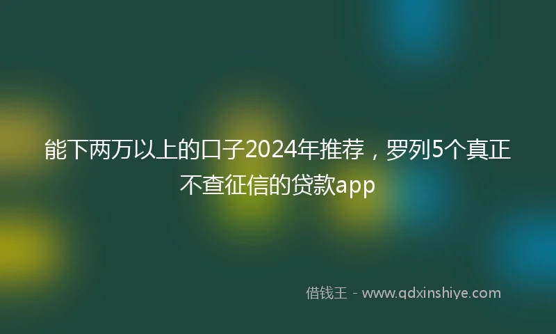 能下两万以上的口子2024年推荐，罗列5个真正不查征信的贷款app