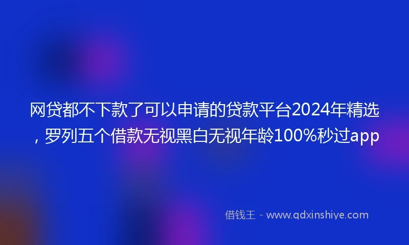 网贷都不下款了可以申请的贷款平台2024年精选，罗列五个借款无视黑白无视年龄100%秒过app