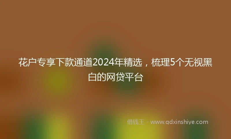 花户专享下款通道2024年精选，梳理5个无视黑白的网贷平台