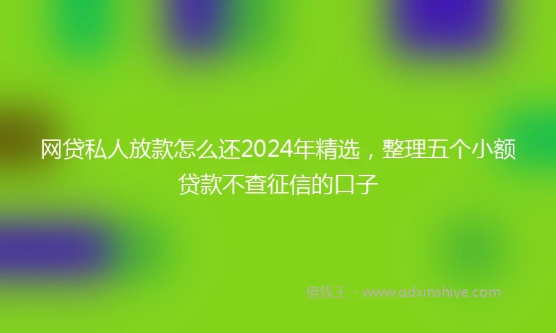 网贷私人放款怎么还2024年精选，整理五个小额贷款不查征信的口子