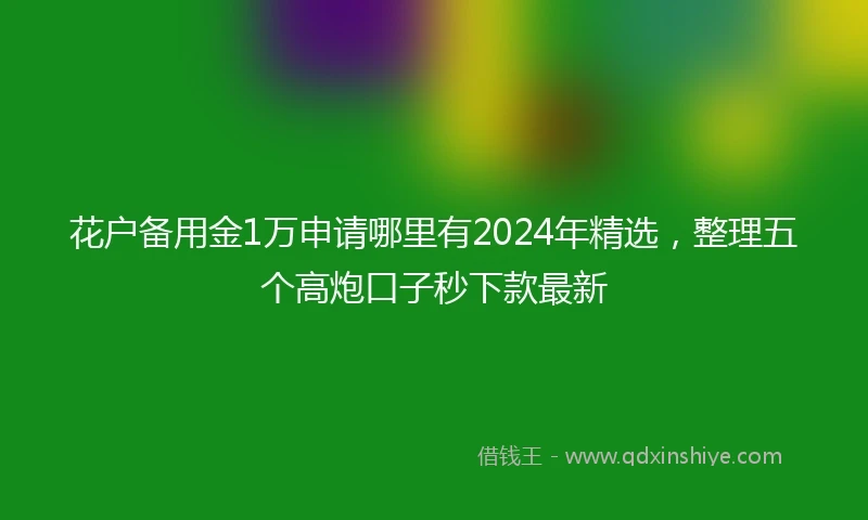 花户备用金1万申请哪里有2024年精选，整理五个高炮口子秒下款最新