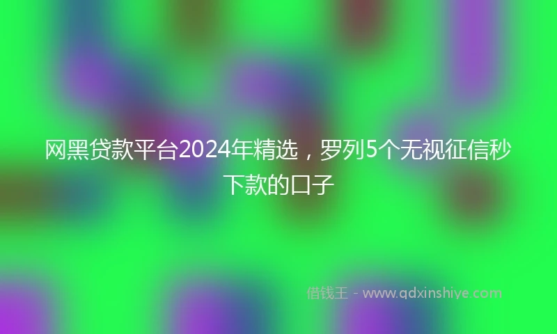 网黑贷款平台2024年精选，罗列5个无视征信秒下款的口子