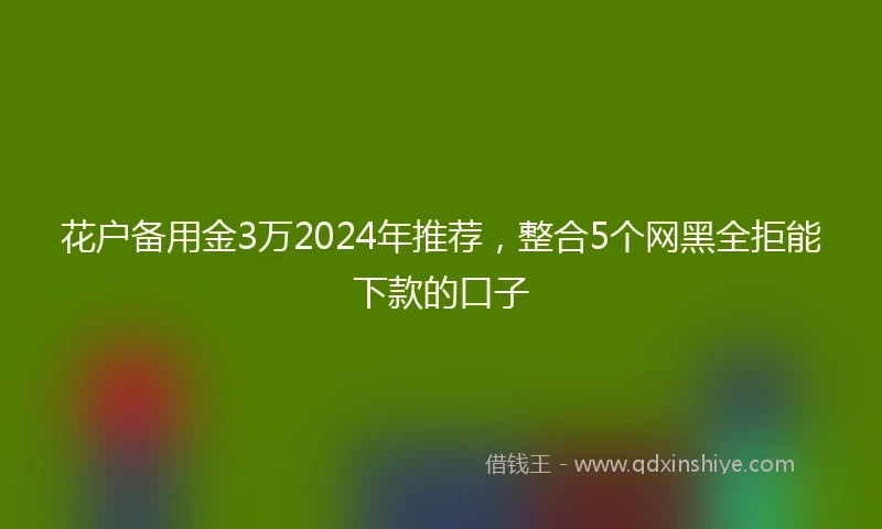 花户备用金3万2024年推荐，整合5个网黑全拒能下款的口子