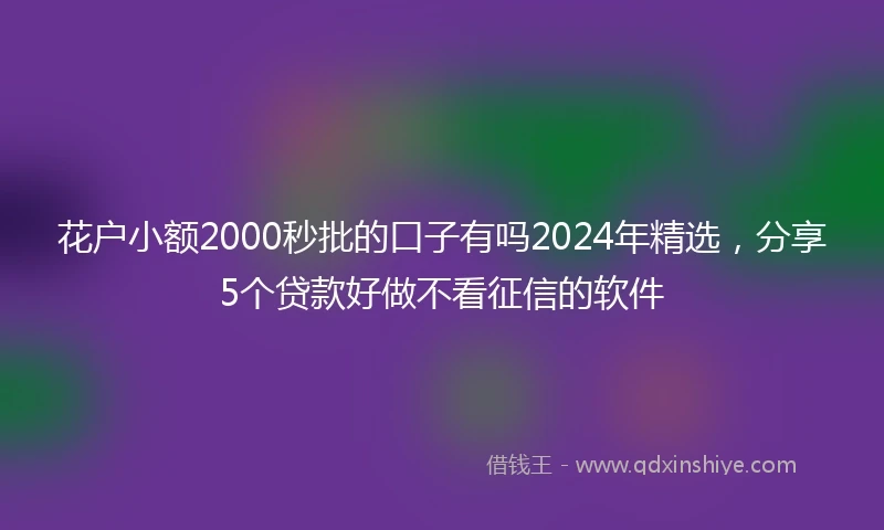 花户小额2000秒批的口子有吗2024年精选，分享5个贷款好做不看征信的软件