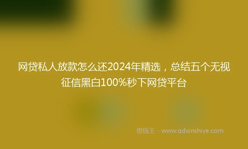 网贷私人放款怎么还2024年精选，总结五个无视征信黑白100%秒下网贷平台