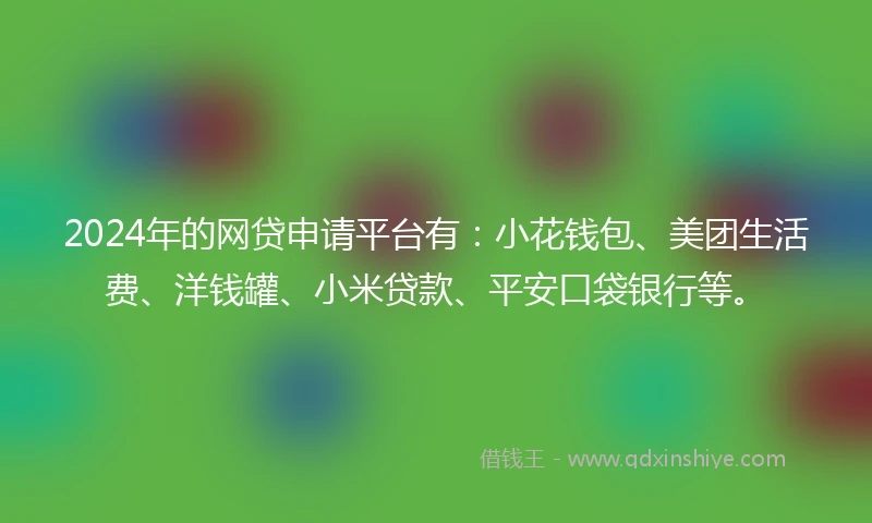 2024年的网贷申请平台有：小花钱包、美团生活费、洋钱罐、小米贷款、平安口袋银行等。