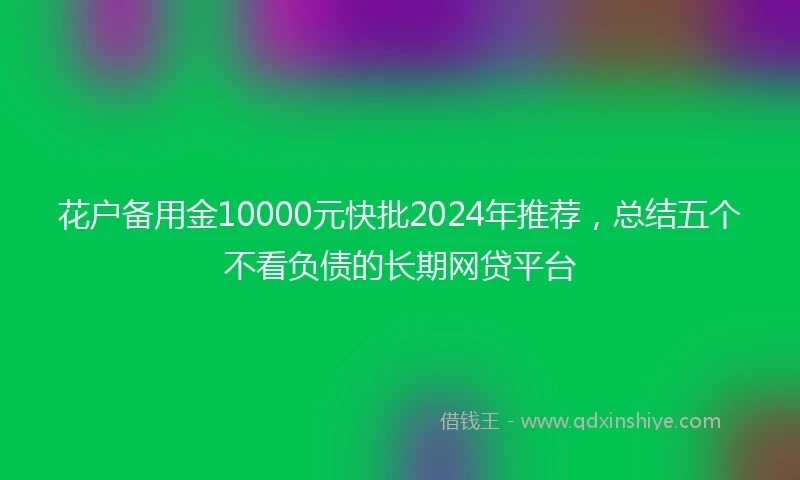 花户备用金10000元快批2024年推荐，总结五个不看负债的长期网贷平台