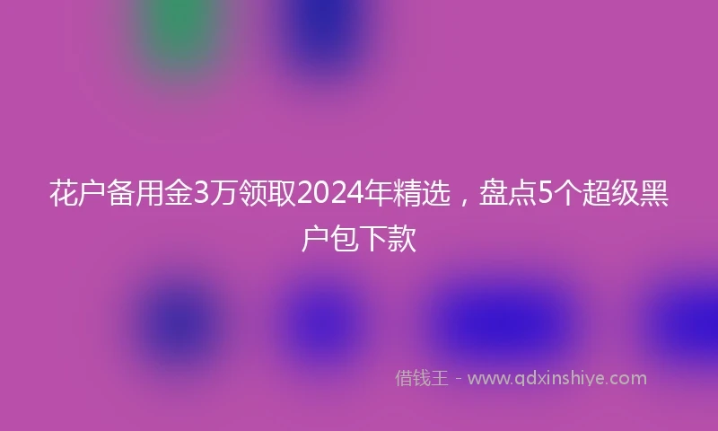 花户备用金3万领取2024年精选，盘点5个超级黑户包下款