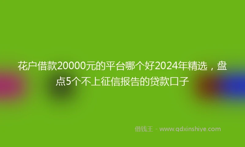 花户借款20000元的平台哪个好2024年精选，盘点5个不上征信报告的贷款口子