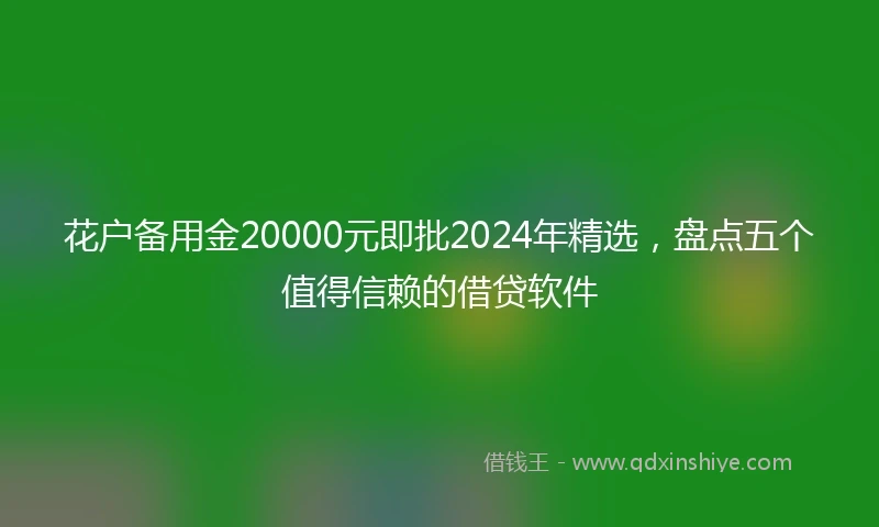 花户备用金20000元即批2024年精选，盘点五个值得信赖的借贷软件