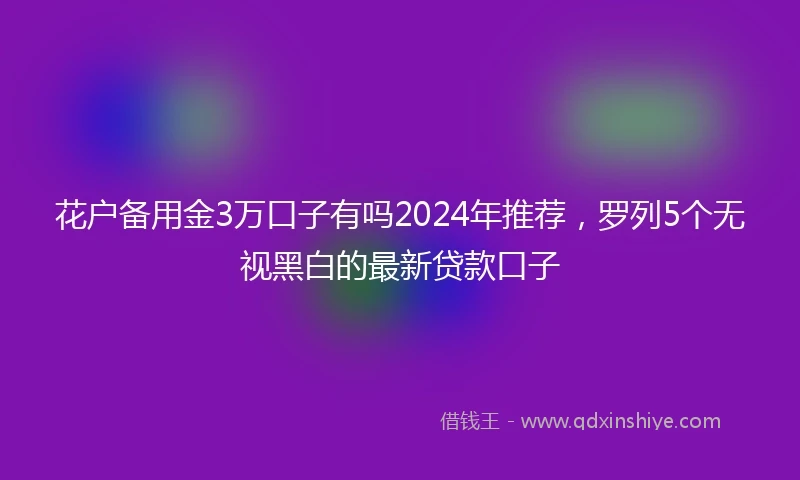 花户备用金3万口子有吗2024年推荐，罗列5个无视黑白的最新贷款口子