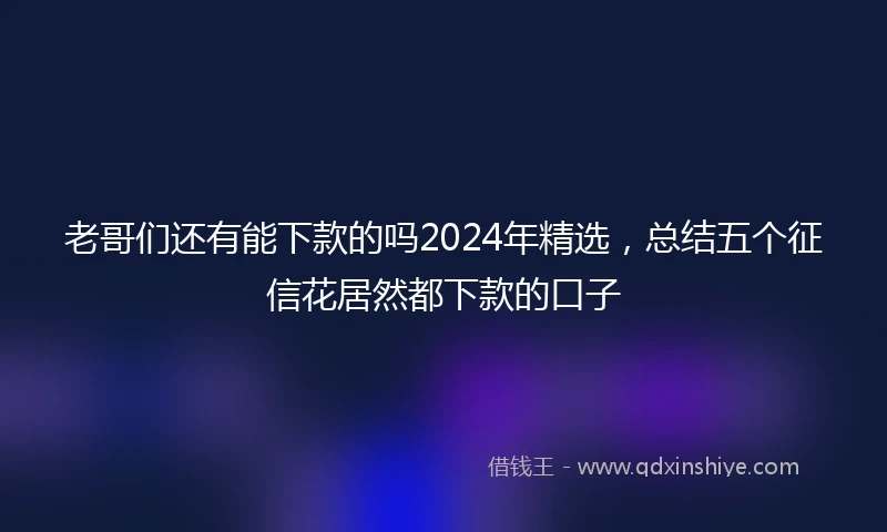 老哥们还有能下款的吗2024年精选，总结五个征信花居然都下款的口子