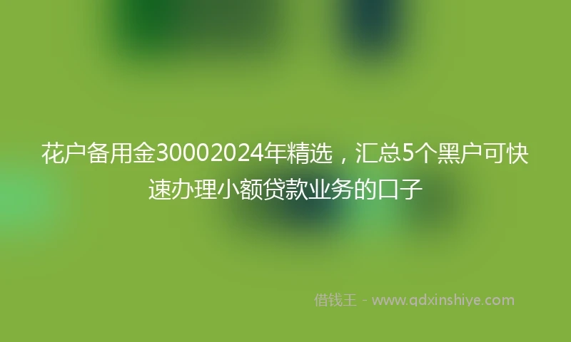 花户备用金30002024年精选，汇总5个黑户可快速办理小额贷款业务的口子