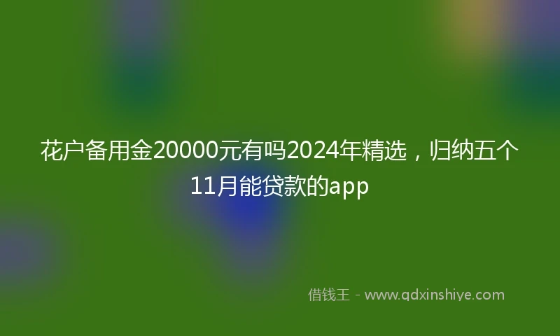 花户备用金20000元有吗2024年精选，归纳五个11月能贷款的app
