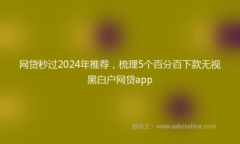 网贷秒过2024年推荐，梳理5个百分百下款无视黑白户网贷app