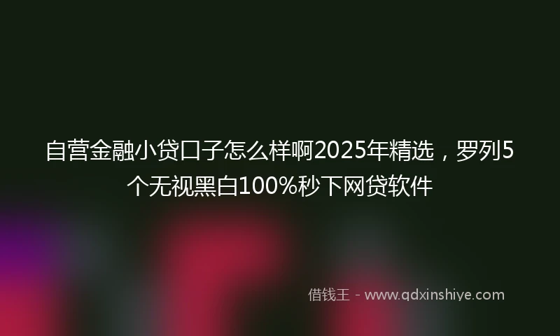自营金融小贷口子怎么样啊2025年精选，罗列5个无视黑白100%秒下网贷软件