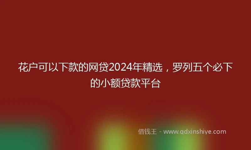 花户可以下款的网贷2024年精选，罗列五个必下的小额贷款平台