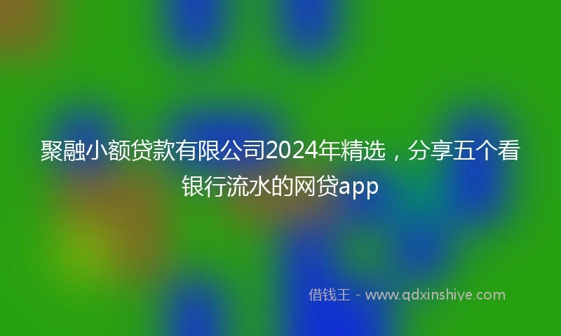 聚融小额贷款有限公司2024年精选，分享五个看银行流水的网贷app
