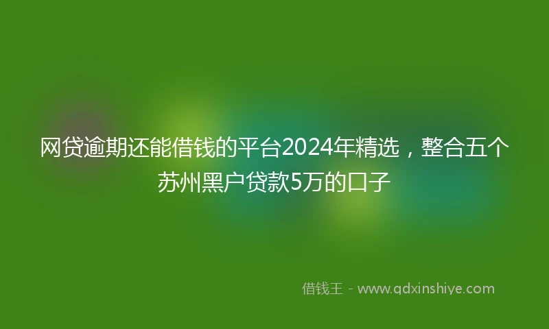 网贷逾期还能借钱的平台2024年精选，整合五个苏州黑户贷款5万的口子